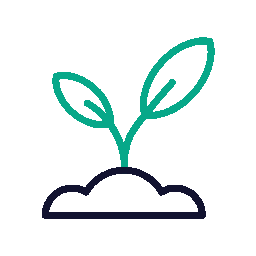 Portfolio Overview & Growth